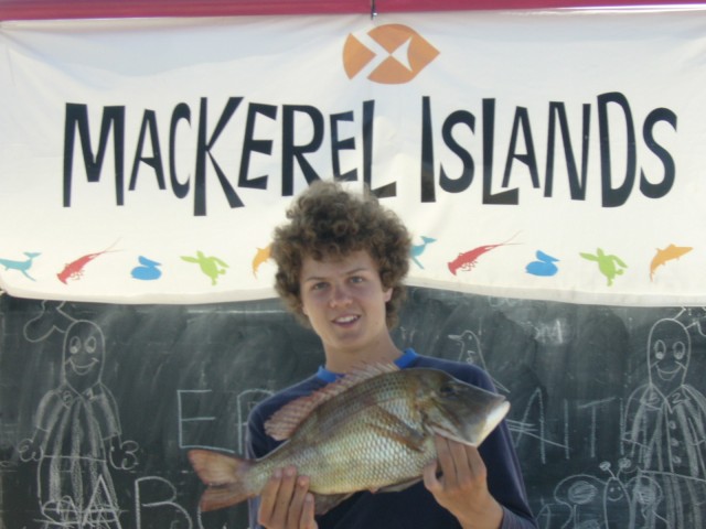 mackerel island